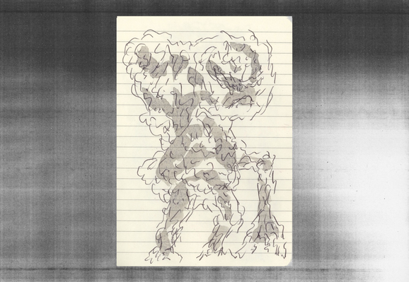 Bejo$ / Ballpoint pen, lavis / 2024 