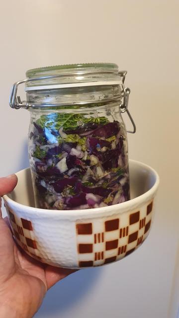 Kool fermenteren