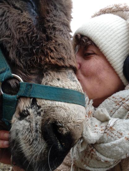 Photo d'une femme faisant la bise à une ânesse