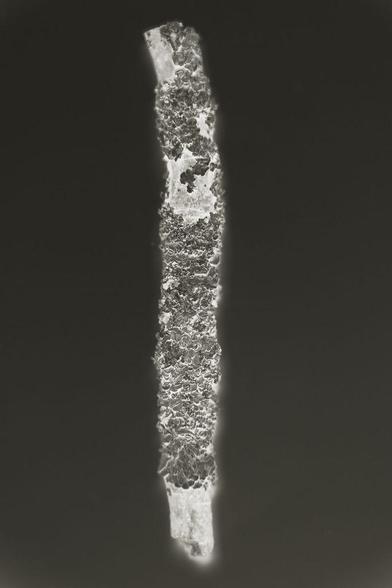 An inverted photograph of a small branch with moss. Background is black. The branch seems radiant. 