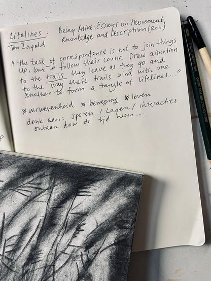 A photograph of a notebook and a sketchbook and a pencil. 