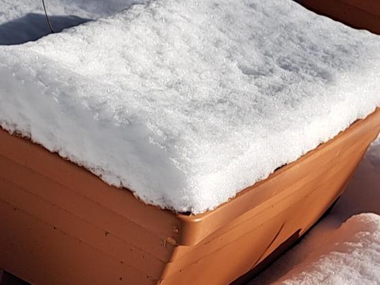 Garden pot covered in snow
