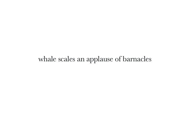 whale scales an applause of barnacles.  #monoku by Mark Gilbert. Mark lives in the UK & writes short poetry & prose. You can contact him on Twitter at @MarkgZero. #poetrycommunity #poetrylovers #poetry #micropoetry #haiku #senryu