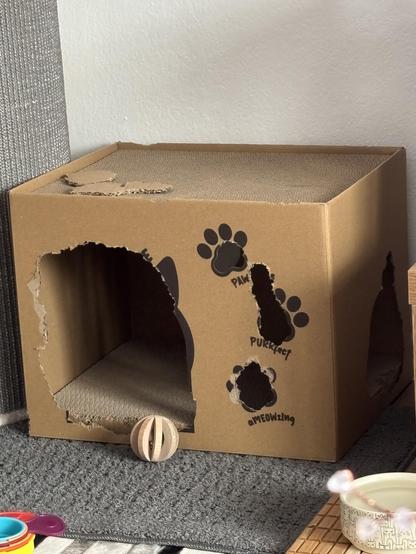 Cardboard house with huge chunks eaten in the doorway, windows and support structure 