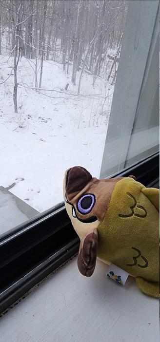 picture of a very cute female salmon plushie with her nose squished against the window, looking out into the snowy landscape