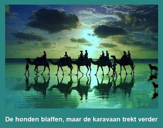 🐕 De honden blaffen, (maar) de karavaan trekt verder.
🐕🐕 Betekenis : Ondanks alle kritiek blijft de koers ongewijzigd. / Ondanks alles gaat het gewoon door.
🐕🐕 Engels; English : The dog barks but the caravan moves on / Let the world say what it will.
🐕🐕 Frans; français : Les chiens aboient, (et) la caravane passe.
🐕🐕 Duits; Deutsch : Die Hunde bellen, die Karawane zieht weiter.

