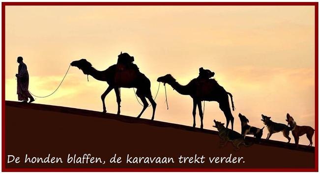 🐕 De honden blaffen, (maar) de karavaan trekt verder.
🐕🐕 Portugees ; português : Os cães ladram e a caravana . / Enquanto os cães ladram a caravana passa.
🐕🐕 Spaans ; español : El perro ladra, la caravana pasa.
🐕🐕 Italiaans ; italiano : La luna non cura l'abbaiar dei cani / Non ti curar di loro ma guarda e passa.