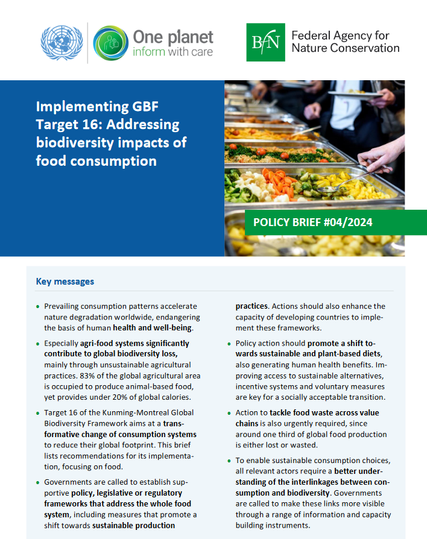 Policy Brief "Implementing GBF Target 16. Addressing biodiversity impacts of food consumption"