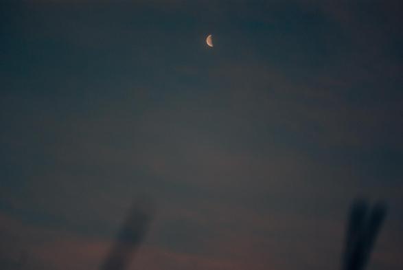 A serene sky at dawn with a crescent moon glowing faintly amidst soft, dark clouds. The foreground features an out-of-focus silhouette of vegetation, adding depth to the composition.
