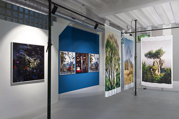 Photo exhibition ‘Exploring the Fields’ by Jacquie Maria Wessels at Galerie Fontana Amsterdam