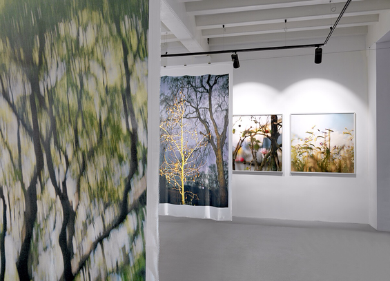 Photo exhibition ‘Exploring the Fields’ by Jacquie Maria Wessels at Galerie Fontana Amsterdam