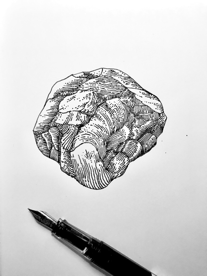 Dessin d’un caillou au trait en noir et blanc.