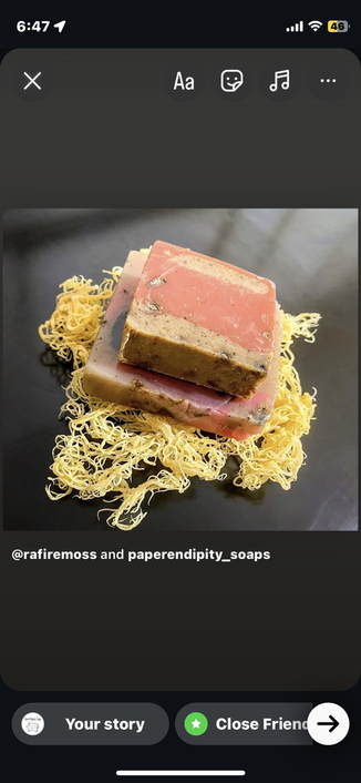 two sizes of red and brown soap sitting on shreds of seamoss