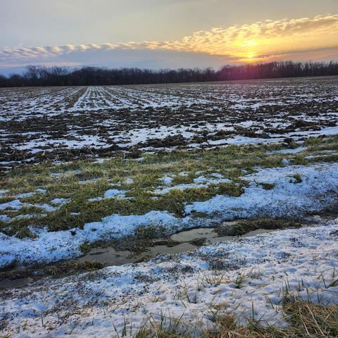 Image of the sun coming up over row crops and ditch grass with melted snow scattered about.