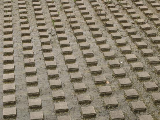 Photos de pavés recouverts d'un courant d'eau.
