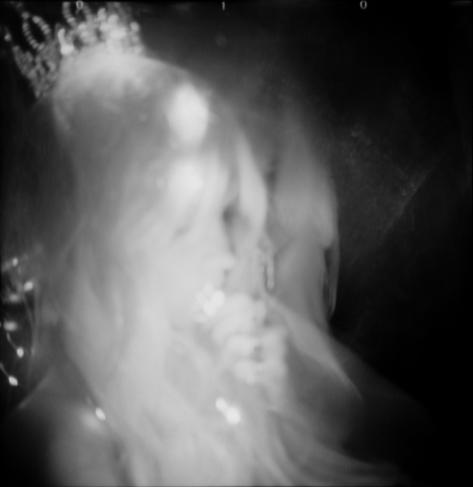 Soft-focus, black-and-white photograph of a princess, bust-up at a three-quarter turn along the left side. Her crown is small at the top of her head. Small points of light appear mixed into her hair. She brings some up to her lips, as if to kiss them.