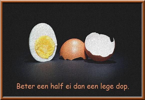 🥚 Beter een half ei dan een lege dop.
🥚 Traduction littérale: Il vaut mieux un demi-oeuf qu'une coquille vide. 
🥚 Français: Le mieux est l'ennemi du bien. / Il vaut mieux un peu que rien du tout. / Un (petit) peu vaut mieux que rien du tout. / Il ne faut pas être difficile quand on n'a pas le choix. / Un tiens vaut mieux que deux tu l'auras.