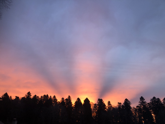 Lever du soleil, ciel en feu au-dessus de la forêt