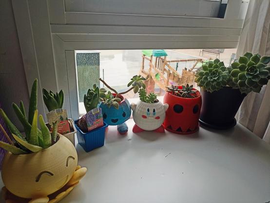 Fotografía de siete macetas en una mesa blanca delante de una ventana en la que se aprecia un parque infantil. De izquierda a derecha:
-Aloe en maceta de Oddish amarillo.
-Dos bulbos de jacintos en macetas blancas y azules.
-Suculenta, posiblemente Graptopetalum acevedo, en maceta azul de Oddish.
-otra suculenta, seguramente Sedum morganium, en maceta de Kirby.
-otra suculenta (sí, soy esa persona), puede que Golden sedum, en maceta roja de fantasma del Comecocos.
-finalmente otra suculenta (vaya sorpresa) de tipo Echevaria en un macetón negro.