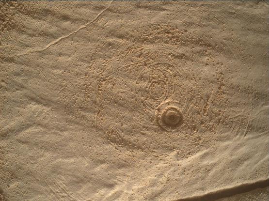 An ochre tone photography of a low relief abraded Martian rock.