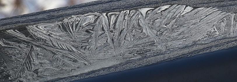 A puddle of water is in the process of freezing. Long feathery crystals of ice have formed on the surface. The reflects the afternoon light in shades of gray. The railing under the puddle is bluish gray and made of a composite material with an artificial wood-like grain.