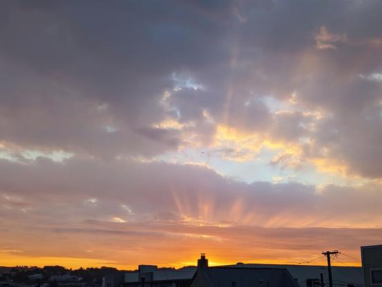 Photograph of the sunset over San Francisco Bayview. Streaks of golden sun rays cut through orange and amethyst clouds. CC BY-SA Kate Zimmerman.