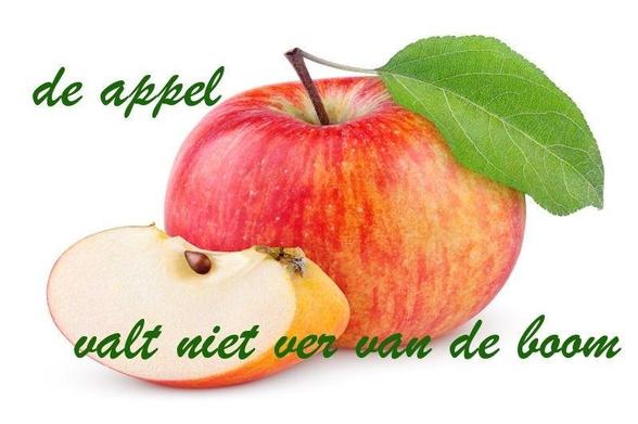 🍏 De appel valt niet ver van de boom. 🌳
🍏 English: The apple never falls far from the tree./ The apple does not fall far from the tree. 🌳
🍏 Français: La pomme ne tombe jamais (bien) loin du pommier. / La pomme ne tombe jamais (bien) loin de l’arbre. 🌳
🍏 Deutsch: Der Apfel fällt nicht weit vom Stamm. 🌳