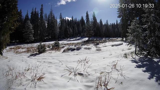 A snowy meadow under a blue sky
