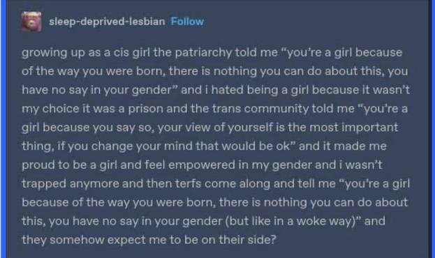 sleep-deprived-lesbian Follow
growing up as a cis girl the patriarchy told me "you're a girl because of the way you were born, there is nothing you can do about this, you have no say in your gender" and i hated being a girl because it wasn't my choice it was a prison and the trans community told me "you're a girl because you say so, your view of yourself is the most important thing, if you change your mind that would be ok" and it made me proud to be a girl and feel empowered in my gender and i wasn't trapped anymore and then terfs come along and tell me "you're a girl because of the way you were born, there is nothing you can do about this, you have no say in your gender (but like in a woke way)" and they somehow expect me to be on their side?