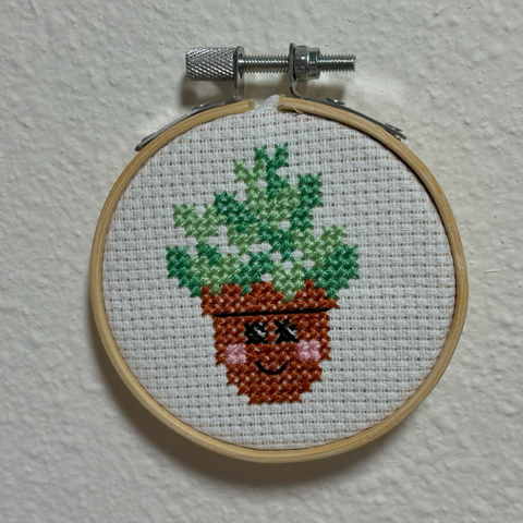 Tiny plant up on the wall 