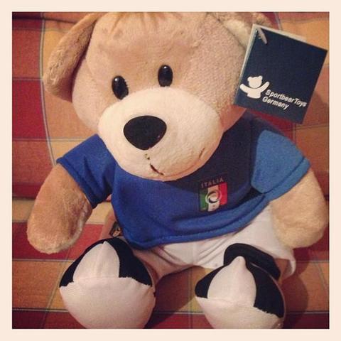 #teddy #italia #tifosi #figc #italy #azzurro #nazionale