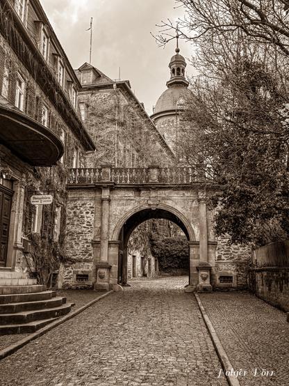 Das Foto zeigt den Eingangsbereich vom Schloss in Laubach in einem historischen und stimmungsvollen Sepia-Ton. Im Vordergrund steht ein steinernes Tor mit einem eleganten Bogen, der den Blick auf den gepflasterten Weg und die dahinter liegenden Gebäude freigibt. Oberhalb des Tores verläuft ein kunstvoll gestaltetes Geländer. Im Hintergrund erhebt sich ein markanter Turm mit einer Uhr und einer charakteristischen Kuppel, die das Schloss prägt. Die kahlen Bäume auf der rechten Seite und die mit Efeu bewachsene Fassade links unterstreichen die nostalgische Atmosphäre.