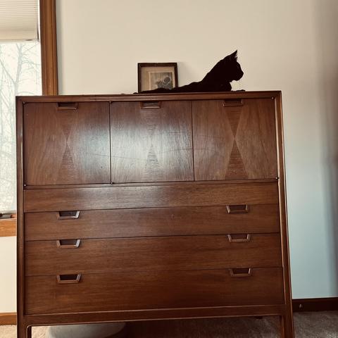 a regal black cat lay atop a bureau
