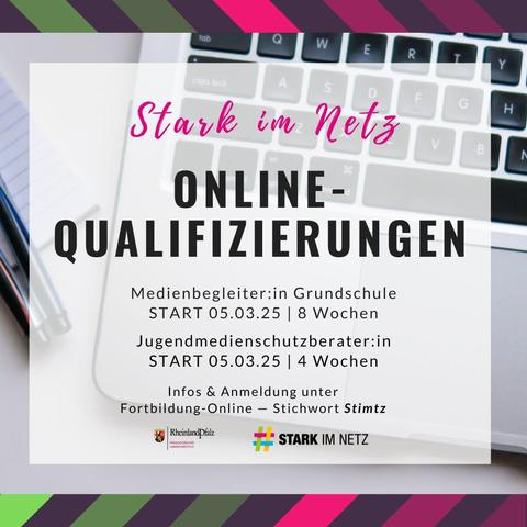 Eckdaten aus dem Post grafisch aufbereitet, Logos des PL und von Stark im Netz