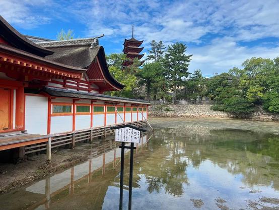 🇯🇵 10/09/2024 Miyajima
