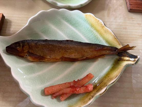 🇯🇵 16/09/2024 Shirakawa-go