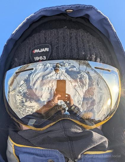 a reflection of moxxi the corgi on a snow pile in the ski goggles of a human. the human is wearing a blue jacket with the hood up and a black toque. the reflection also shows human hands holding a cellphone. the hands a bare but, rest assured, it was way below zero and those hands were getting numb.