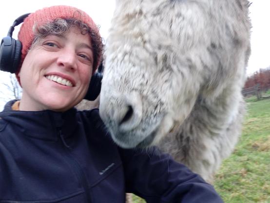 Une photo de moi et d'un âne (Cadeau) on ne voit que le bout de son museau tourné vers mon visage. Moi, j'ai toujours mon casque. (La photo est un peu floue)