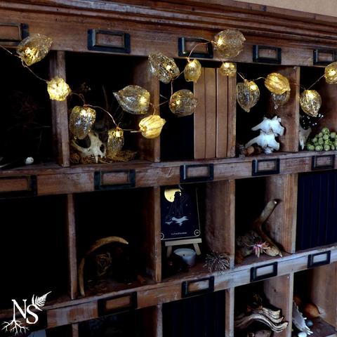 A big wooden furniture with multiple shelves holding dried plants, an oracle card and animals real skulls, much like a curiosity cabinet. There is a LED lights garland running on it and the lights are on. The lights are inside dried physalis calyx, some whole and some skeleton.
There’s a NS logo in one corner, with roots starting at the bottom of the N and a fern starting at the top of the S.
