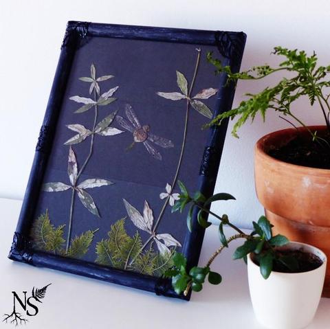 A black frame is sitting on a shelf with real plants in pots beside it. The frame has black corners that look like lace. Inside, the back is black carboard and the scene represents something that looks like a dragonfly in flight above a mossy undergrowth (with real pressed moss) and among pressed plants going up. It’s made of real dragonfly wings and plant parts.
There’s a NS logo in one corner, with roots starting at the bottom of the N and a fern starting at the top of the S.
