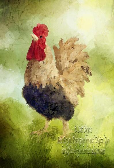 Raising The Alarm ... A #rooster stands against a softly blended green background, its plumage featuring contrasting dark and light hues.  Digitally hand painted in #Corel Painter with the #Wacom tablet and stylus ... loosely based on my own #photography. 

At my website:  https://lois-bryan.pixels.com/featured/raising-the-alarm-lois-bryan.html

And at #FineArtAmerica: https://fineartamerica.com/featured/raising-the-alarm-lois-bryan.html

#art #giftideas #animals #birds #farmanimals #barnyardanimals #NotAi #LoisBryan 