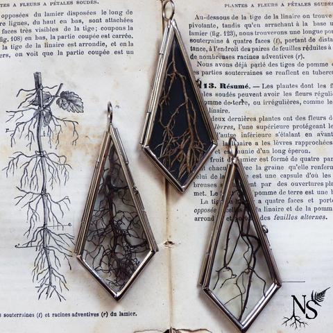 3 pendants placed on an old botany book with an illustration of a root. The pendants are made of glass and contain real pieces of roots. One of them has a black background to better highlight the light root on the skin.
There’s a NS logo in one corner, with roots starting at the bottom of the N and a fern starting at the top of the S.
