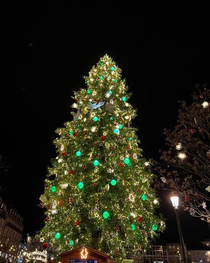 🇫🇷🎄 08/12/2024 Strasbourg