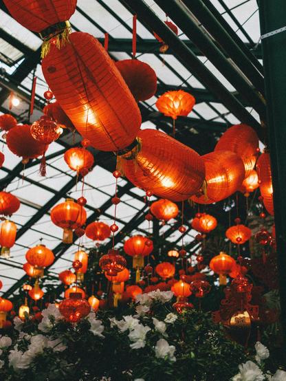 Red lanterns to celebrate Chinese New Year