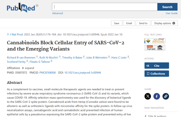 Screenshot Januar 2025
J Nat Prod
. 2022 Jan 28;85(1):176-184. doi: 10.1021/acs.jnatprod.1c00946. Epub 2022 Jan 10.
Cannabinoids Block Cellular Entry of SARS-CoV-2 and the Emerging Variants
Richard B van Breemen 1, Ruth N Muchiri 1, Timothy A Bates 2, Jules B Weinstein 2, Hans C Leier 2, Scotland Farley 2, Fikadu G Tafesse 2
Affiliations Expand
PMID: 35007072 PMCID: PMC8768006 DOI: 10.1021/acs.jnatprod.1c00946
Abstract
As a complement to vaccines, small-molecule therapeutic agents are needed to treat or prevent infections by severe acute respiratory syndrome coronavirus-2 (SARS-CoV-2) and its variants, which cause COVID-19. Affinity selection-mass spectrometry was used for the discovery of botanical ligands to the SARS-CoV-2 spike protein. Cannabinoid acids from hemp (Cannabis sativa) were found to be allosteric as well as orthosteric ligands with micromolar affinity for the spike protein. In follow-up virus neutralization assays, cannabigerolic acid and cannabidiolic acid prevented infection of human epithelial cells by a pseudovirus expressing the SARS-CoV-2 spike protein and prevented entry of live