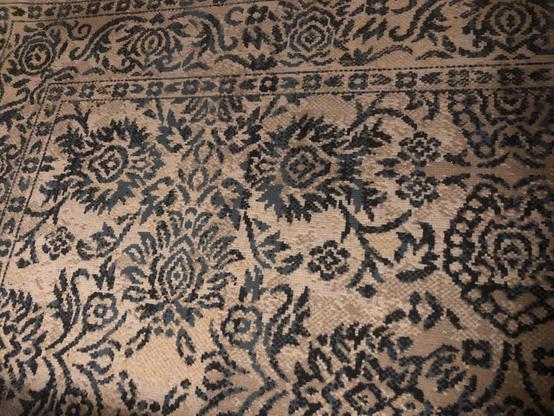 A machine made carpet with pussy-shaped floral patterns (par pudeur, je l’écris en anglais)