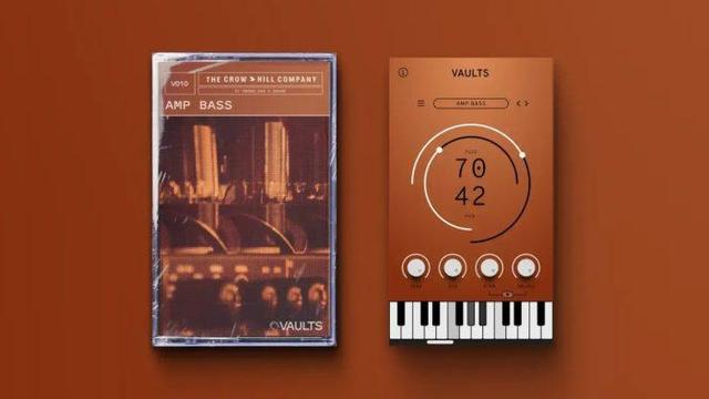 The Crow Hill Company VAULTS Amp Bass
