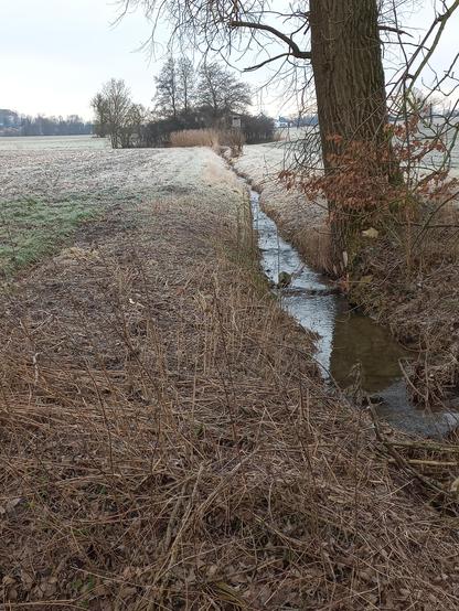 Ein schmales Fließgewässer zieht sich von der rechten unteren Ecke des Bildes in die obere Bildmitte wo er in einem Wäldchen verschwindet. Vor diesem liegt ein kleiner Schilfbereich; außerdem ist dort eine Jagdkanzel zu sehen. Am rechten Ufer ist der Stammfuß eines Laubbaumes zu sehen, davor ragen Sträucher ins Bild, die mit dürrem braunen Laub behangen sind. Der Rest des rechten Ufers sowie das gesamte linke Ufer ist mit verfilzter krautiger Vegetation bedeckt. An den linken Uferbereich schließt sich ein Acker an, auf dem noch die dürren Reste von Maisstengeln zu erkennen sind. Im Bildhintergrund sind eine Straße, Felder, ein weiterer Gehölzstreifen und ein Gebäude erkennbar.