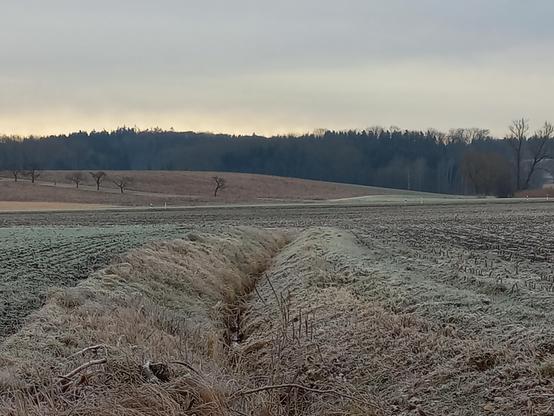 In der Bildmitte ist ein Abzugsgraben mit leicht abfallenden, mit filziger krautiger Vegetation bedeckten Uferbereichen zu sehen. Rechts und links von diesen liegen Äcker, rechts ein abgeernteter Maisacker, links ein Wintergetreidefeld. Im Hintergrund markieren Begrenzungspfähle den Verlauf einer Straße. Dahinter steigt das Gelände sanft an. Dort liegen weitere Äcker, und auf einem schmalen Streifen zwischen ihnen stehen einzelne Hochstamm-Obstbäume. Dahinter sind bewaldete Hügel zu erkennen