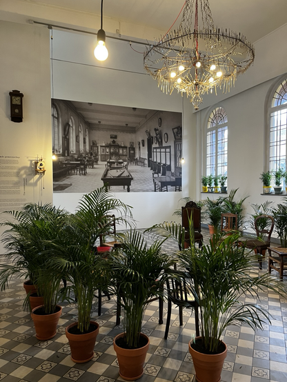 Pièce avec plantes et chaises, au mur une photo de la même pièce en un autre temp